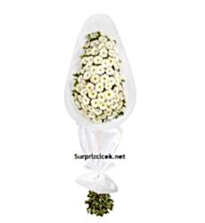 Beyaz Gerbera Açılış Kutlama Çelengi