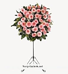 Pembe Gerberalardan Hazırlanmış Ferforje Aranjmanı