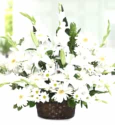 Lilyum Gerbera Sepeti