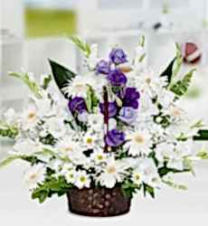 Lisyantüs Papatya Sepeti