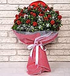 Yılbaşı Çiçeği Buketi - 20 adet Kokina