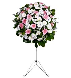 PEMBE gerberalar ile hazırlanmış açılış, düğün, nişan ve nikah çiçeği.