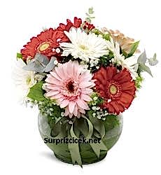 Rengarenk Gerbera Aranjmanı Gemlik Çiçekçi