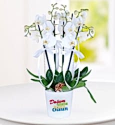 Doğum Günü Tebrikli 4 Dal Phalaenopsis Orkide