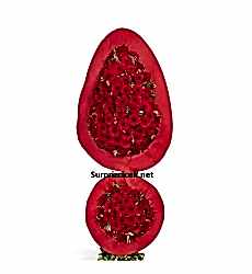 Kırmızı Gerbera Kutlama Çelengi