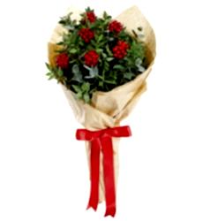 Yılbaşı Buketi Kokina