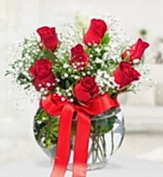 Akvaryumda 7 Kırmızı Gül Fanus cam vazo içerisinde kırmızı gül, cipsofilya ve yeşillikler ile hazırlanmıştır.