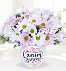  Seramikte Papatyalar Canım Anneme temalı seramik vazo içerisinde beyaz papatya, pembe papatya ve yeşillikler ile hazırlanmıştır