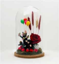 Solmayan Gül Hayat Işığım