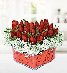 Kalpte 23 Kırmızı Gül