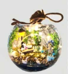 Elma Büyük ledli Küçük Orman Teraryum