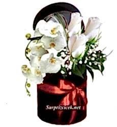 Kutuda Okide ve Güller