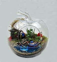 Elma Orta Teraryum Canım Ailem