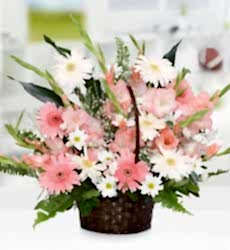 Gerbera ve Papatya Sepeti