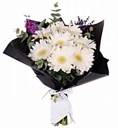 Siyah Bukette Beyaz Gerbera Buketi
