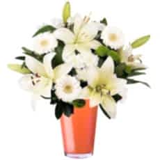 lilyum ve beyaz gerbera