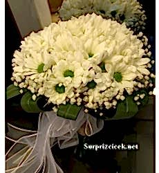 Krizantem (Papatya )Gelin Buketi Canlı