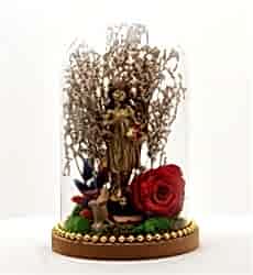 Solmayan Gül Prenses