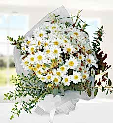 Beyaz Papatya Buketi Beyaz papatya ve çeşitli yeşillikler ile hazırlanmış şık el buketi.