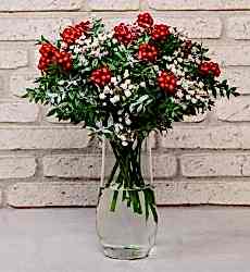 Kokina Yılbaşı Çiçeği - Paşabahçe Vazolu